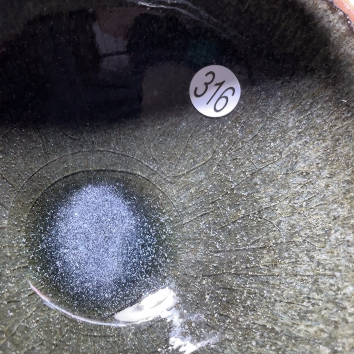 茶盏6666666666666666