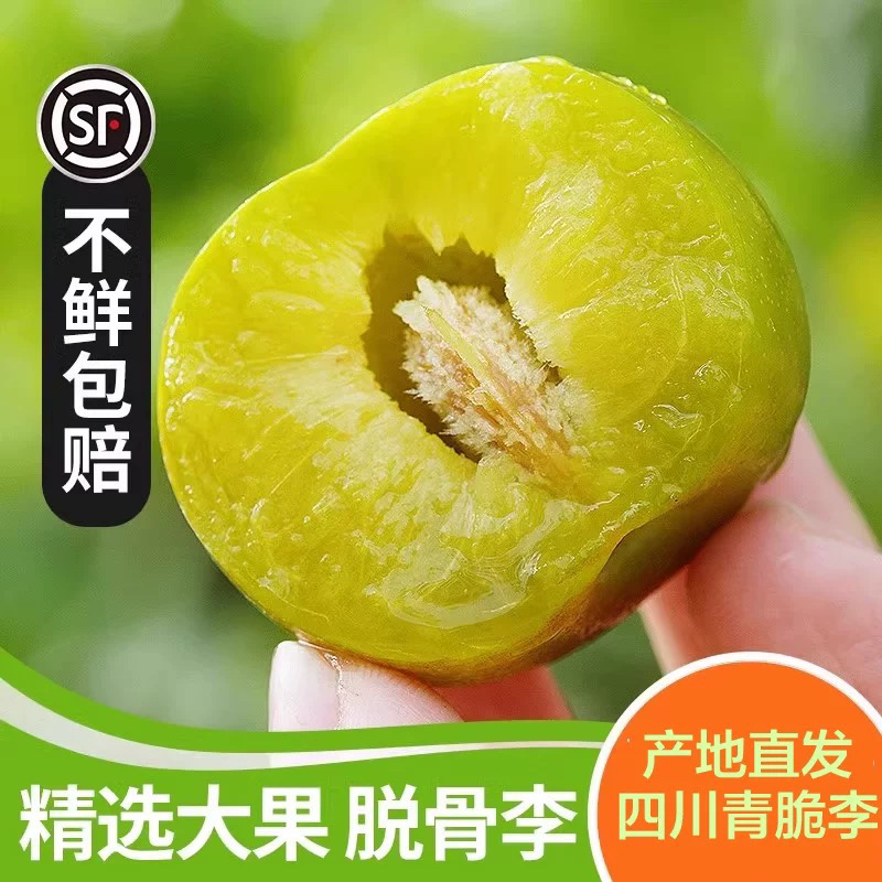 【顺丰包邮】正宗四川茵红李新鲜采摘半边红青脆李产地直发