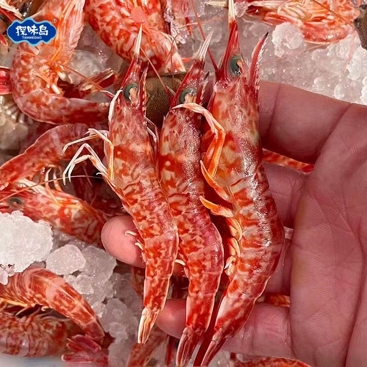 福建樱花虾鲜活刺身甜虾鸡冠虾冷冻特大红虾斑节虾大海虾海鲜水产