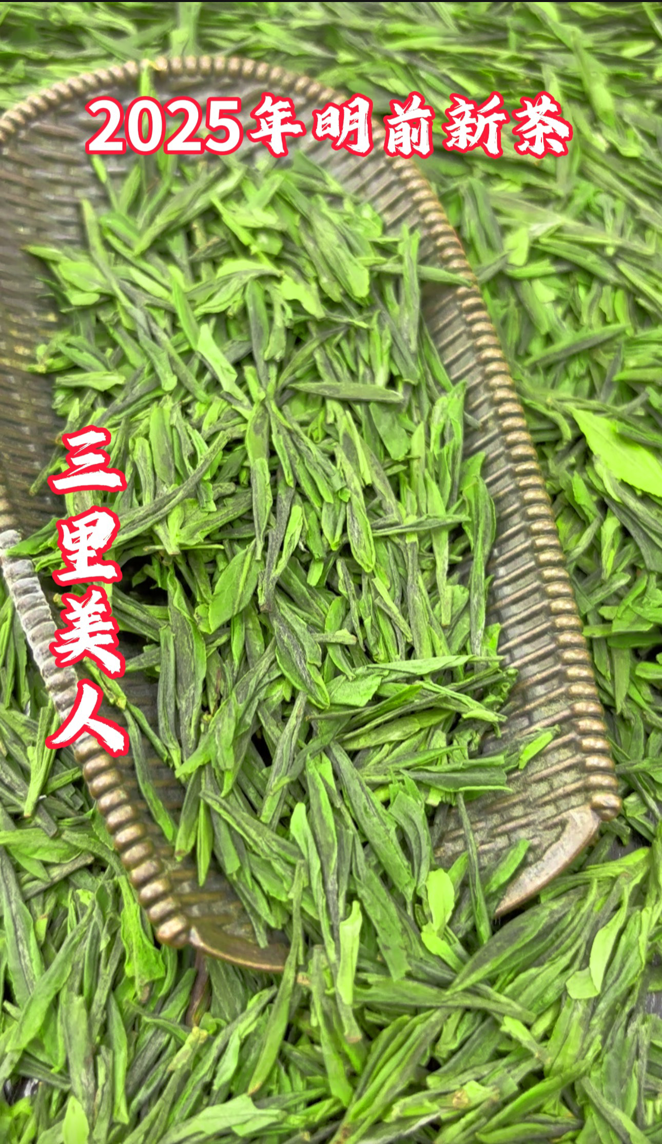 《三里美人》2025新茶本地春茶高清香嫩芽泡茶鲜嫩好喝好茶鲜甜散装