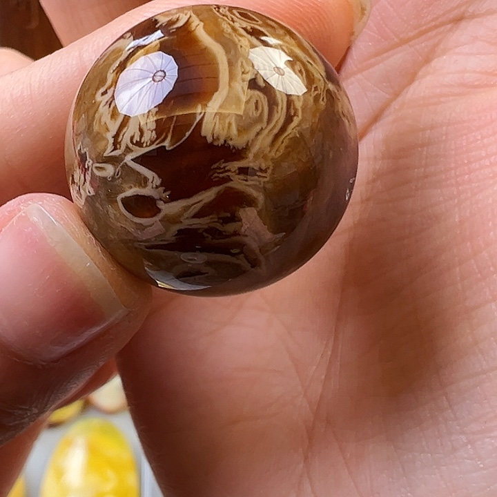 蜜蜡颈饰未镶嵌蜜蜡