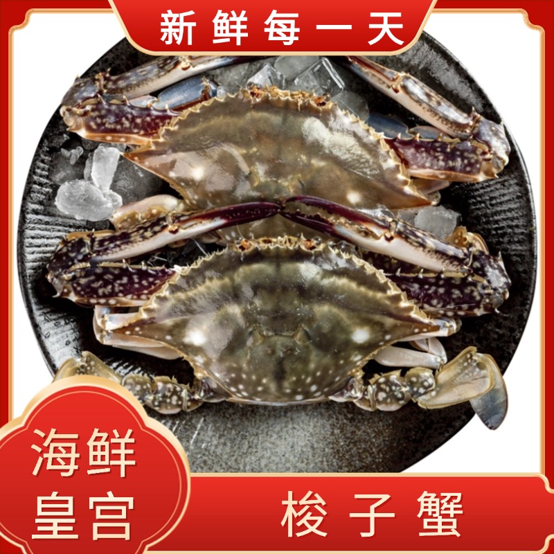 【保鲜不保活】 大 断氧梭子蟹 残蟹每斤1-2只（每只5-9两）海鲜皇宫