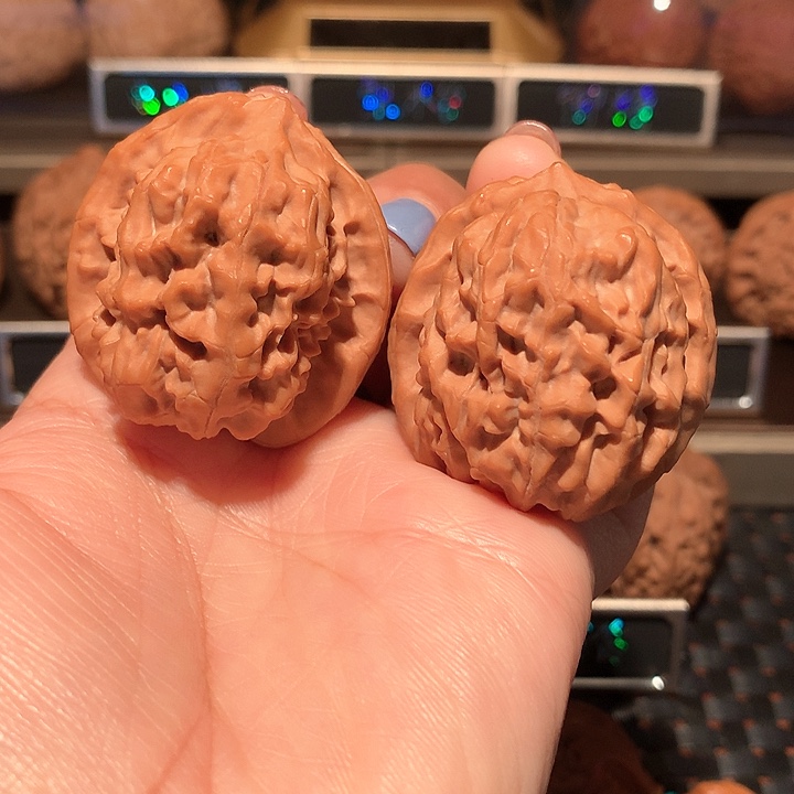 文玩核桃把件核欢