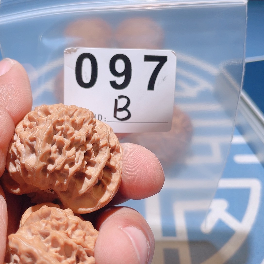 文玩核桃吊坠咸****窗苹果