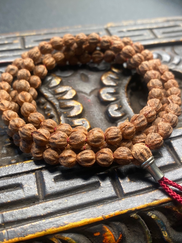 红牙高油高密多棱原装