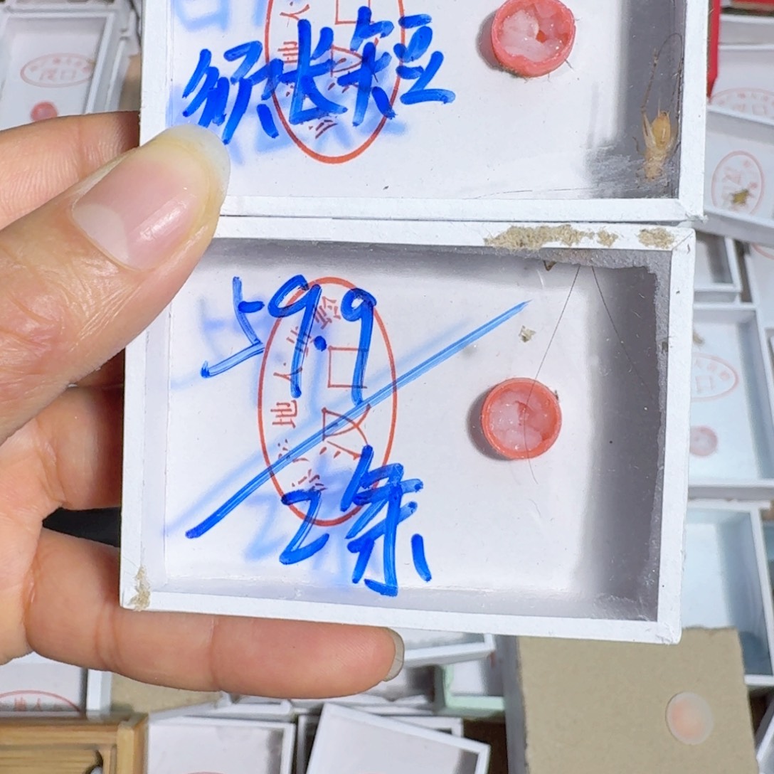 百***卡蟋蟀蝈蝈我也想要一个这样的男朋友