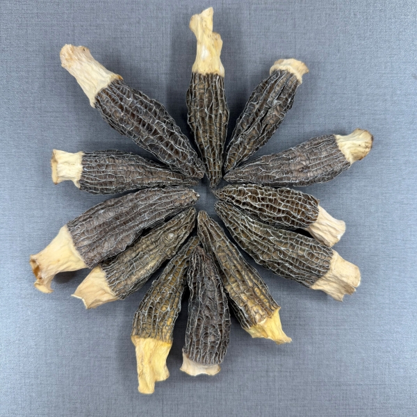 【清平表嫂】四川头茬羊肚菌肉厚半剪脚AAA5~7公分煲汤滋补汤料干货