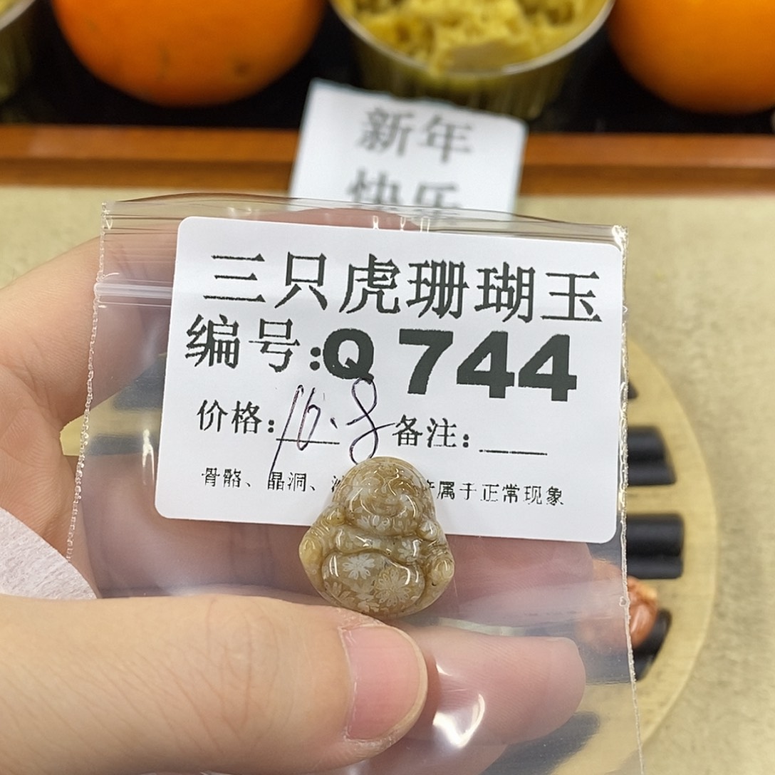 硅化珊瑚（珊瑚玉）1未镶嵌卿*