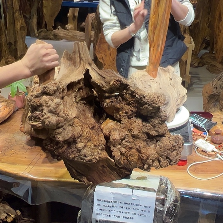 松木（琥珀木）圣*