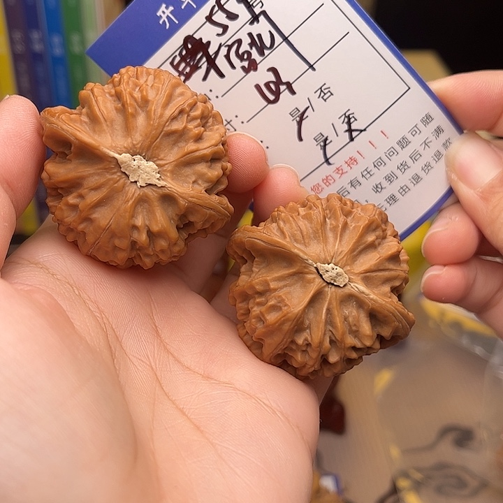 文玩核桃手捻核桃553