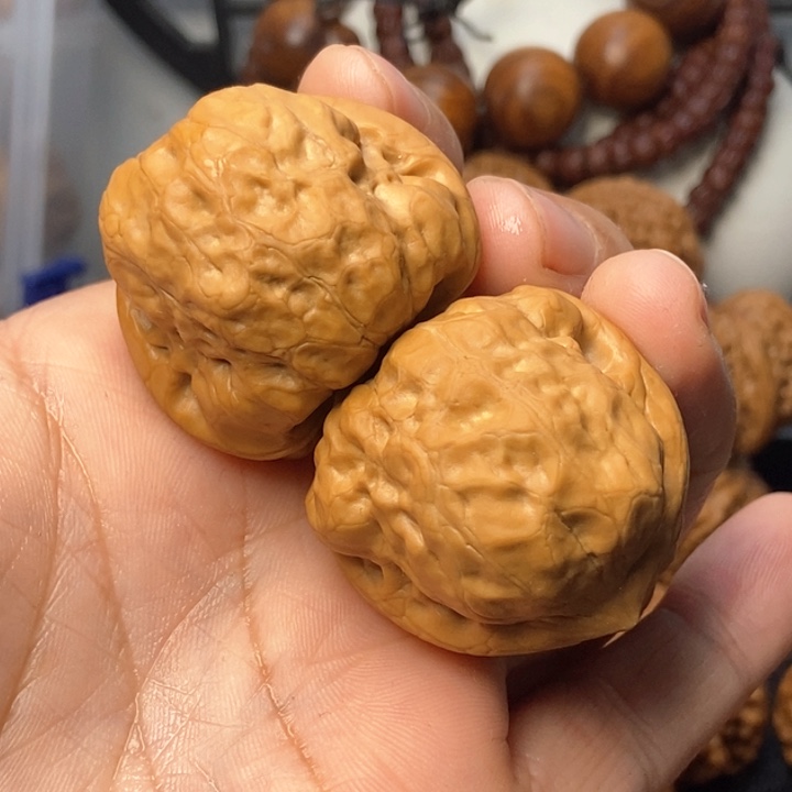 文玩核桃把件年****）古蝉