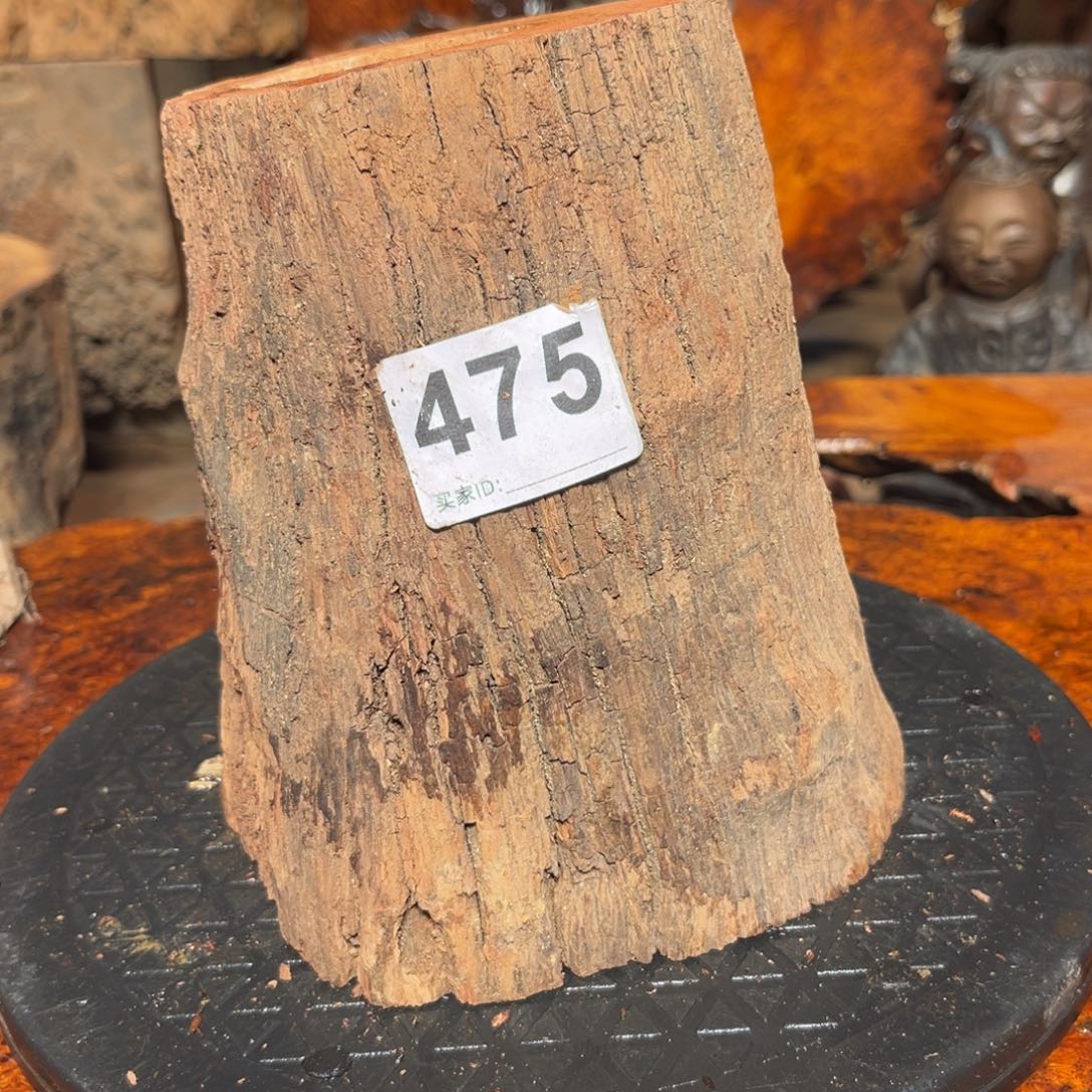 大果紫檀（缅甸花梨）