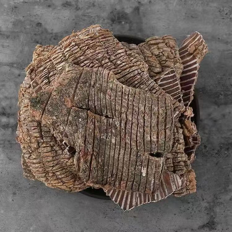 【阿峰推荐】    杜仲片