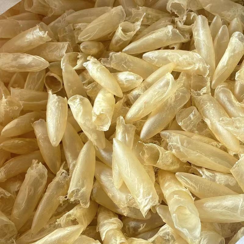 【天然咸水黄花筒胶】100g/包精选厚肉鱼胶炖汤滋补营养渔港直发