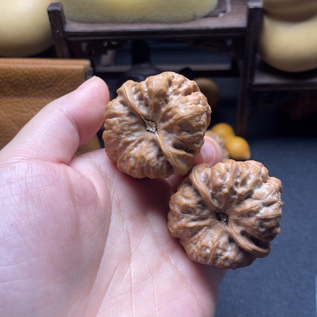 ᝰ****大叶紫檀（黑酸枝木类）