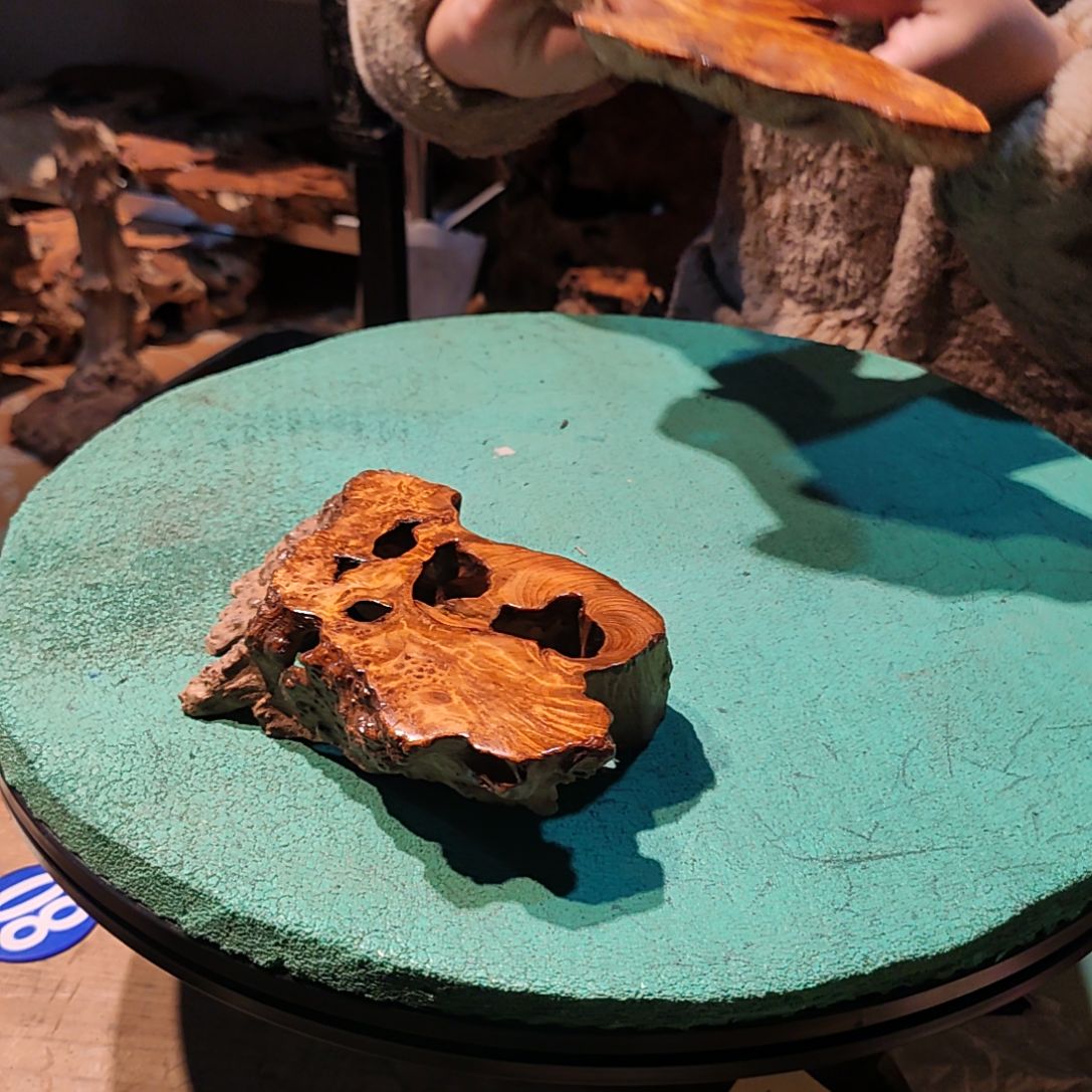 @****g香杉木枯木四川省