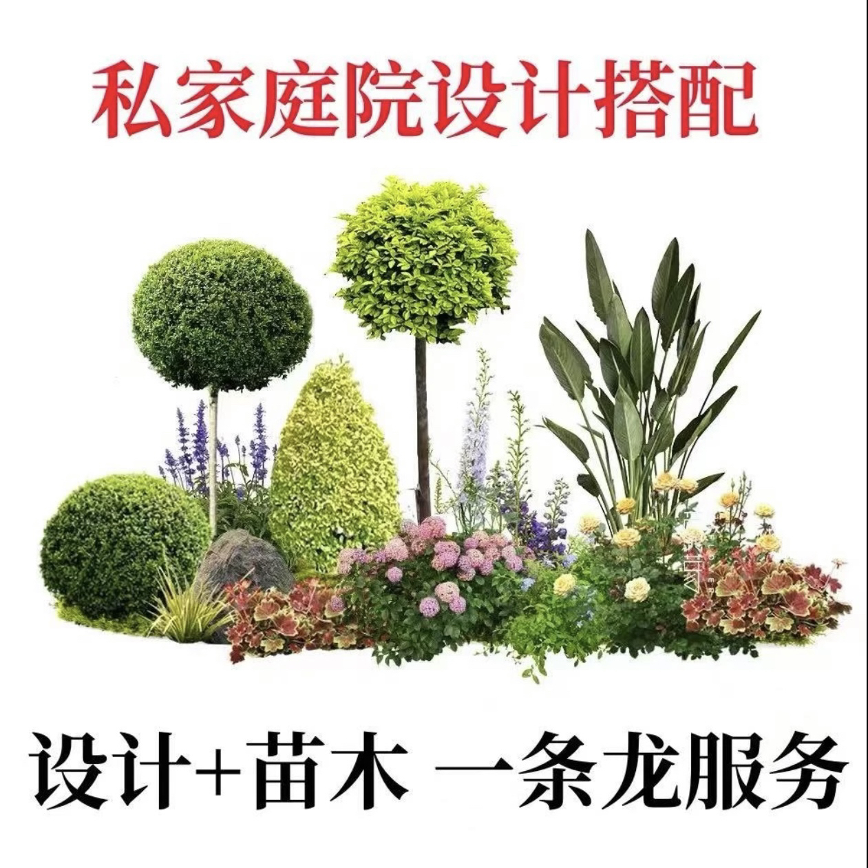 花境植物组合别墅庭院花箱露台，顺丰包邮到家