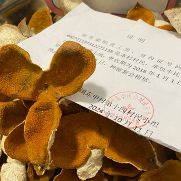 正宗新会陈皮2024年东甲牛肶围纯圈枝细种油身12.08大红皮