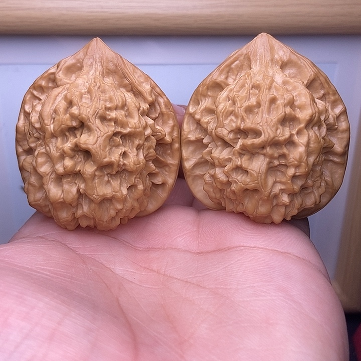 核桃全品小尺官帽