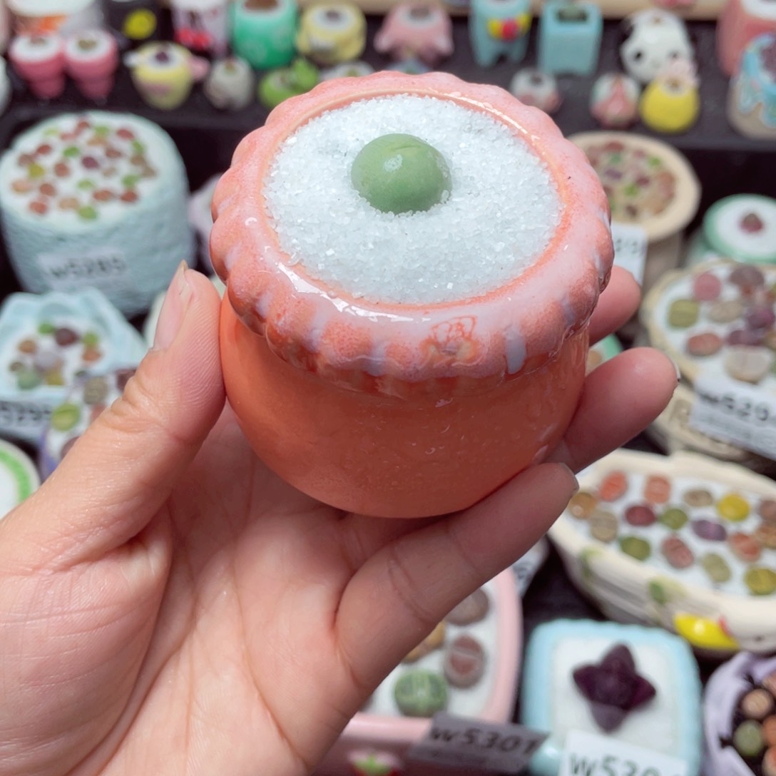 w5310 带盆土发货-零下地区拍保温箱