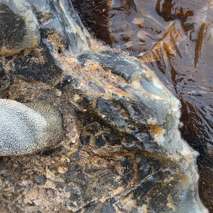 I***U定制玛瑙玛瑙手镯