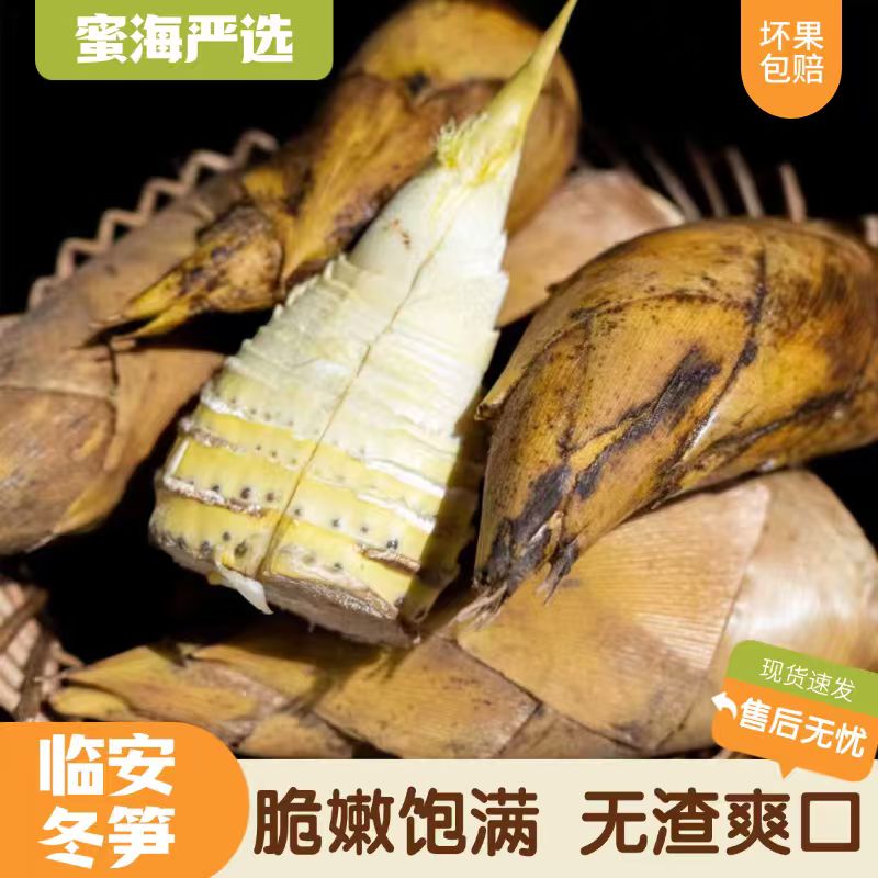【蜜海严选】临安冬笋1斤（2-4个）/3斤（5-10个）