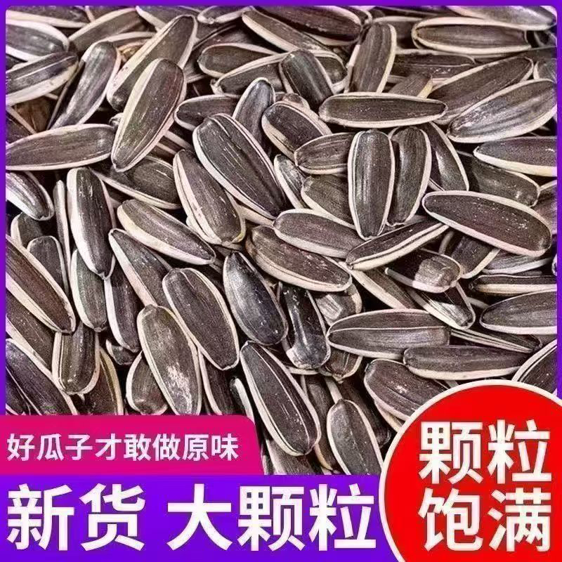 原味炒熟瓜子大颗粒饱满皮薄易嗑零食