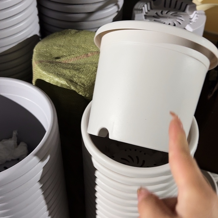 四季3号灰白无托10个微瑕