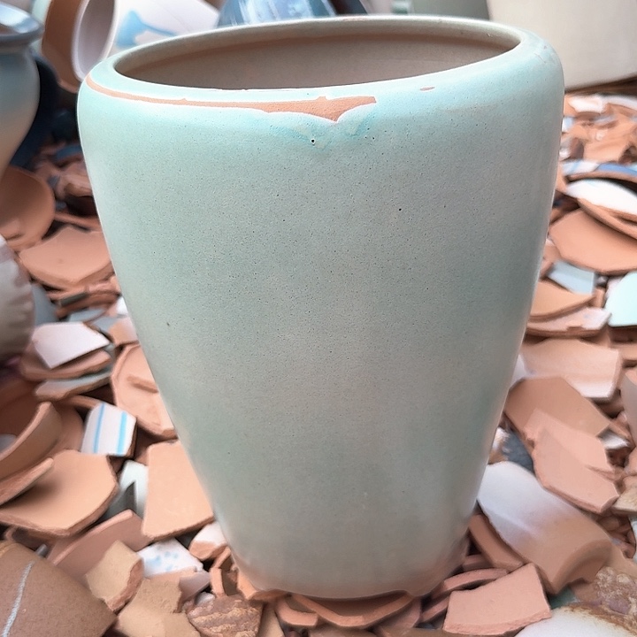 微瑕花盆啦啦哈哈