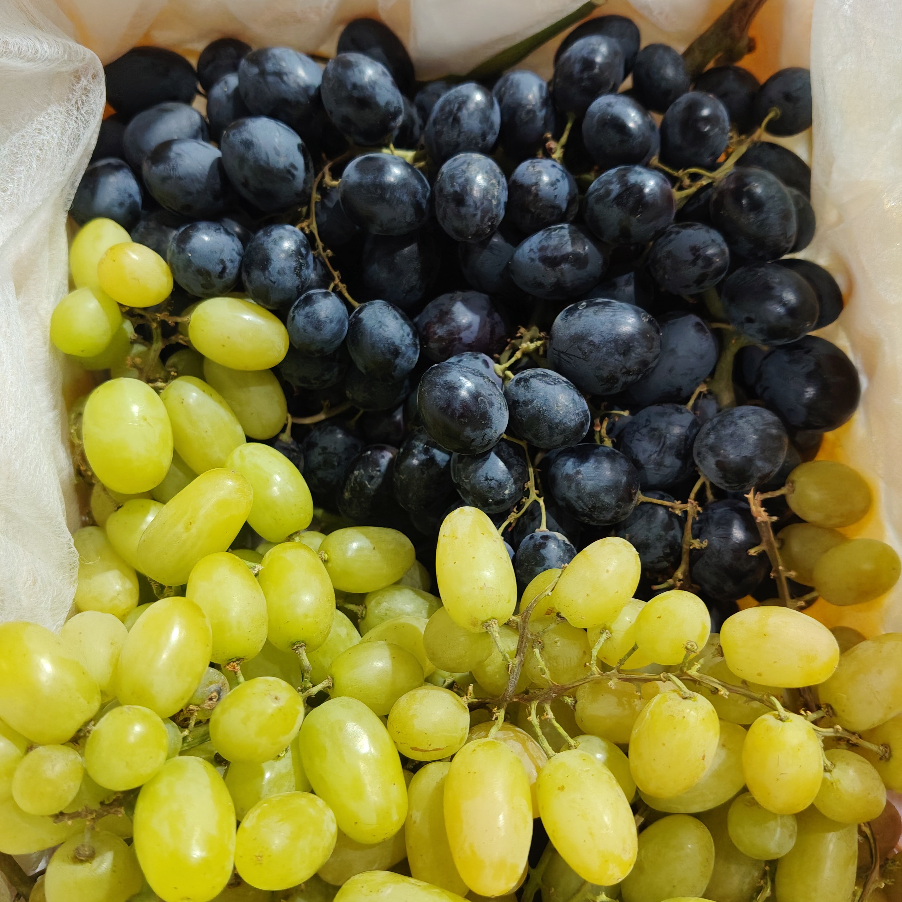 【富贵专属顺丰次日达】新疆双色葡萄框装2公斤包邮到家新疆维吾尔自治区