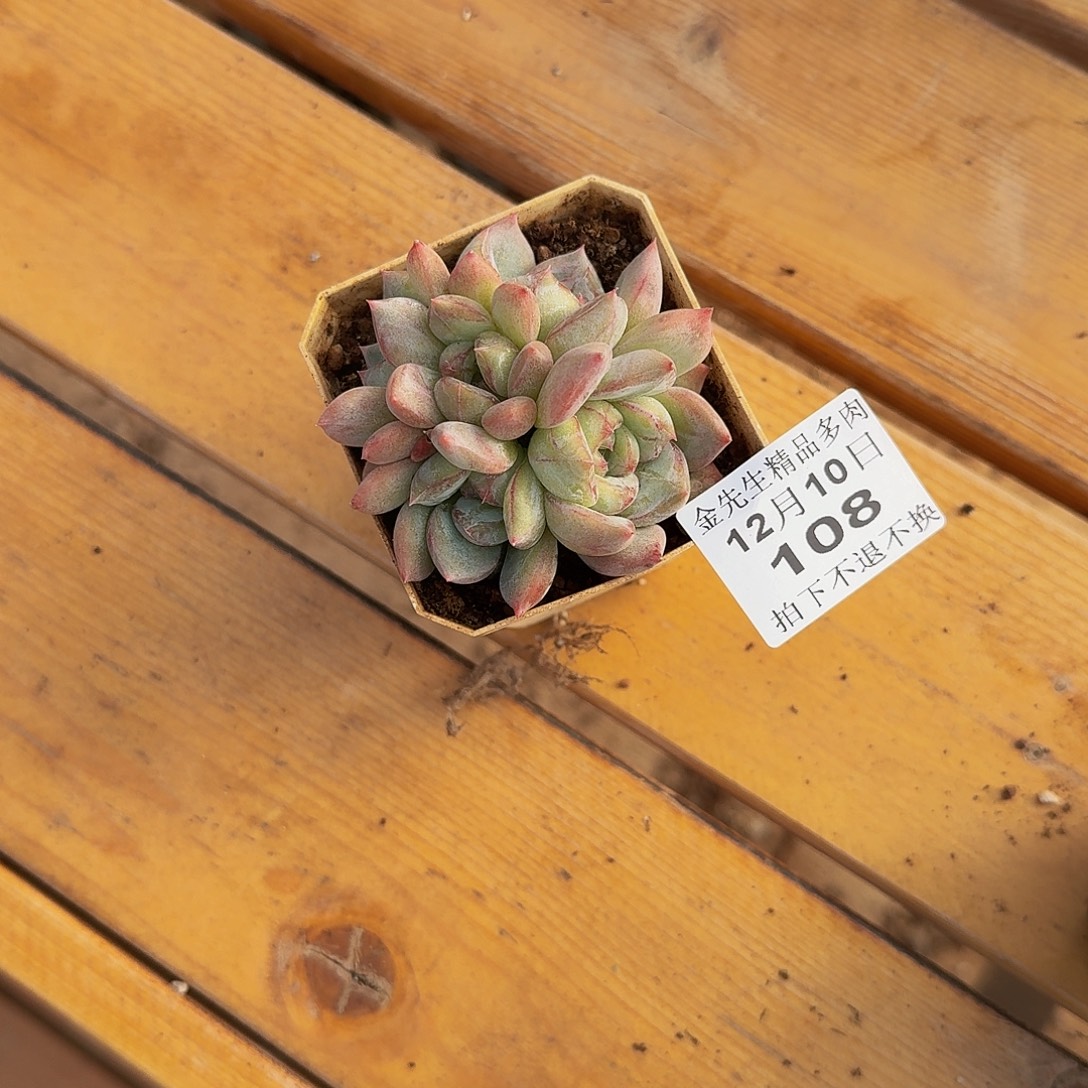 8***01210-108长相思群生