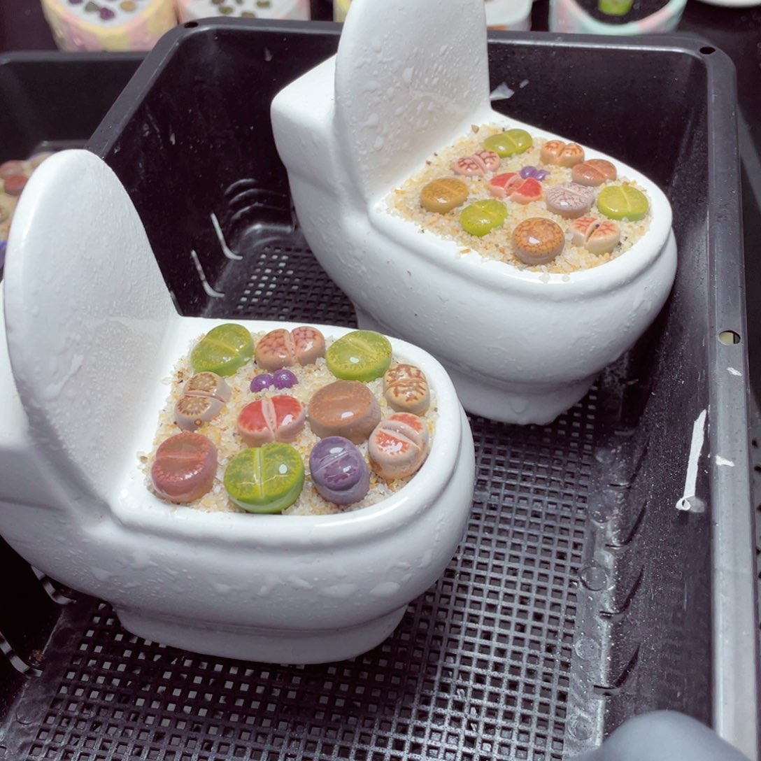 w5878-马桶，一份一盆量拍