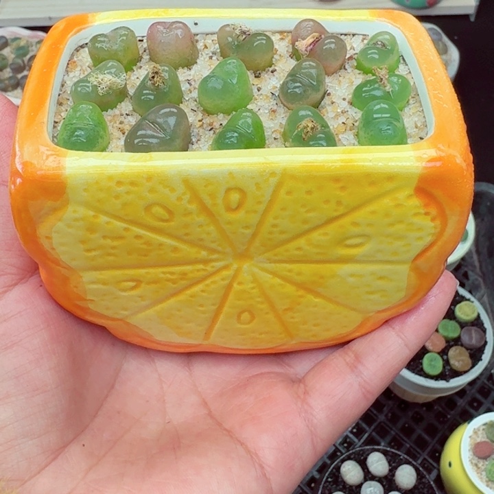 610零下地区记得拍保温箱