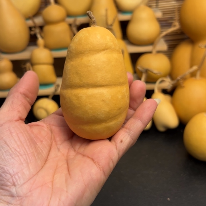 咿*葫芦葫芦葫芦葫芦葫芦葫芦葫芦葫芦