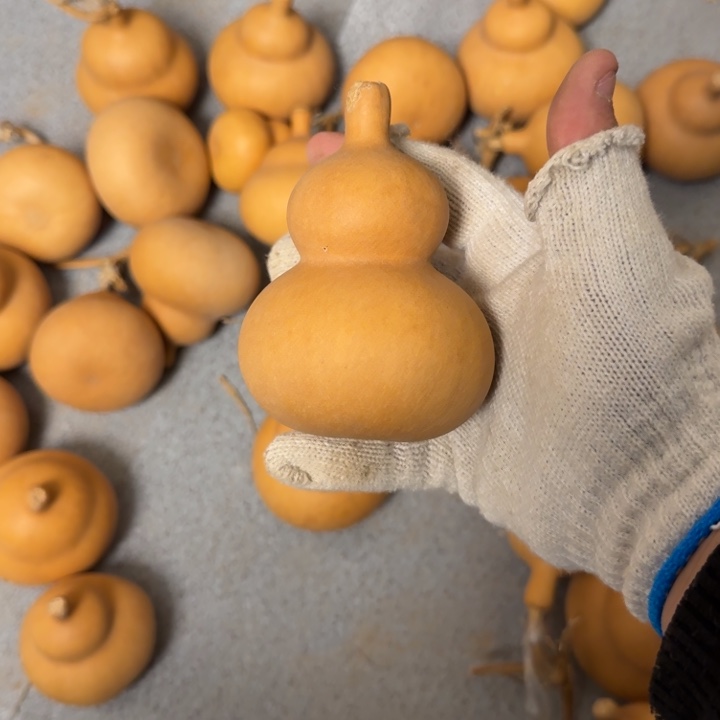 葫芦9.9.9.9.9.9.9.9