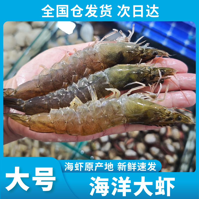 【顺丰次日达C】新鲜到家 3040海洋大虾 13-16cm/只  一斤15-20只 4斤/盒 共60-70只精品