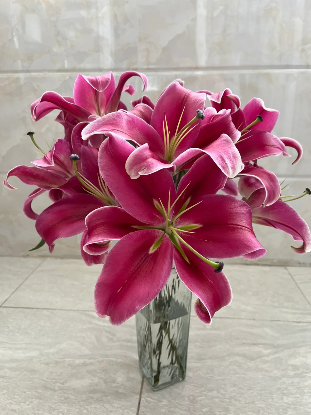 （僭合集仓）中国红百合4枝保8个花苞，1单包邮，两单升级冷链！