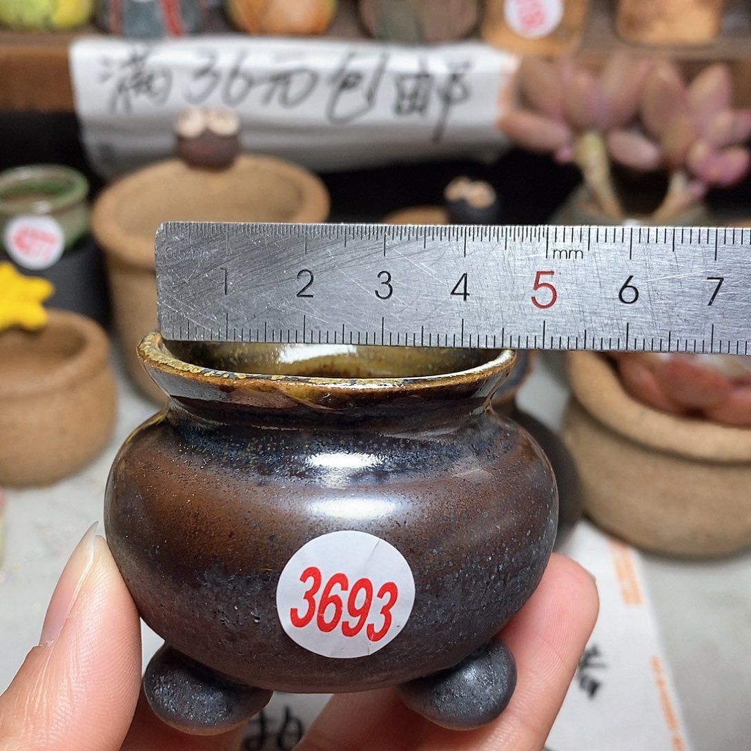 红陶拍5送一个小
