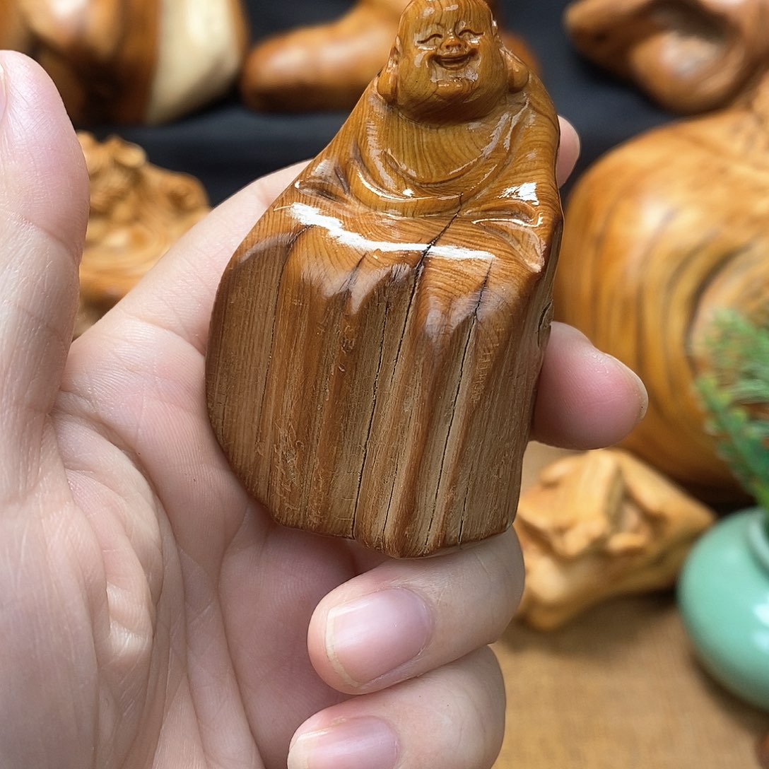 柏木（崖柏）一物一图