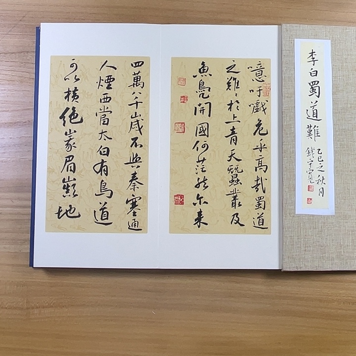 书法中书协老师作品
