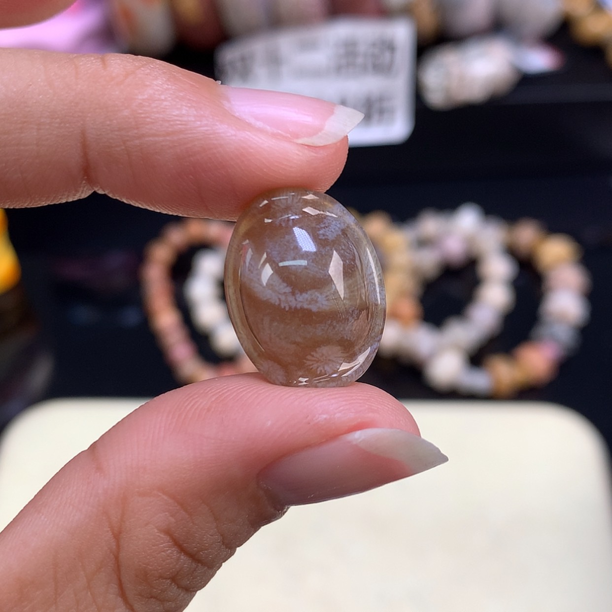 【闪购商品】颈饰未镶嵌硅化珊瑚（珊瑚玉）66号元宝龟背放漏