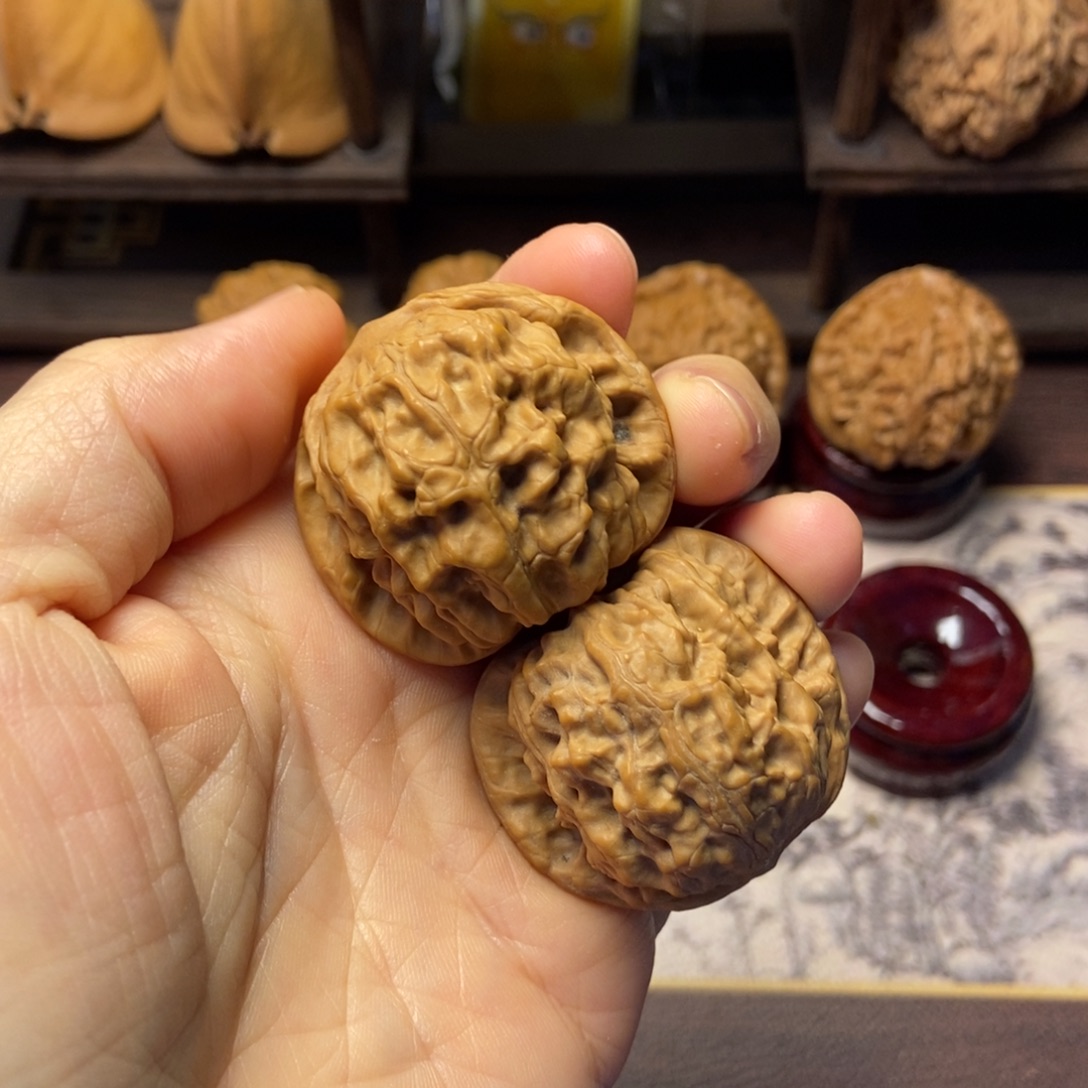 把件文玩核桃全品野狼尺寸40