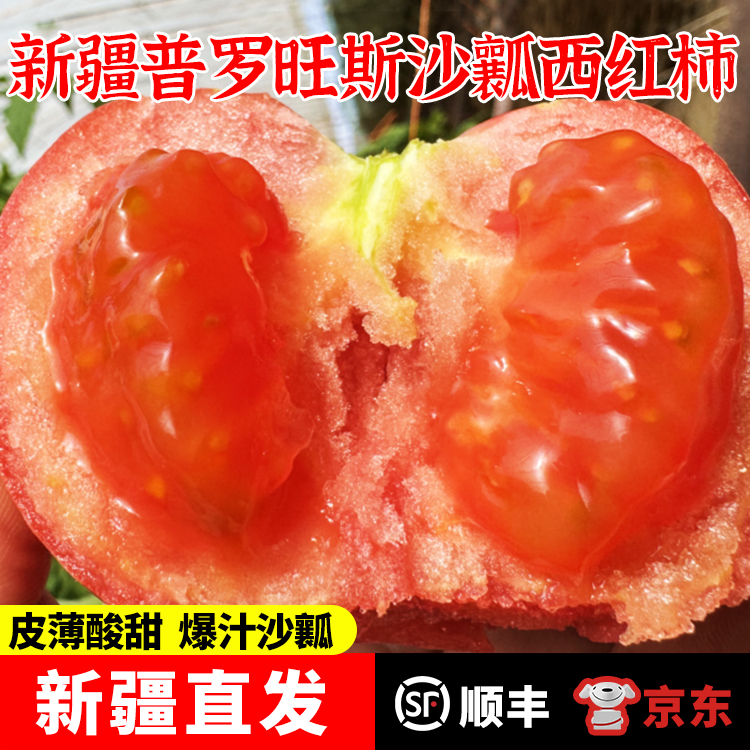 新疆普罗旺斯西红柿沙瓤新鲜自然熟应季水果番茄生吃5斤顺丰/京东