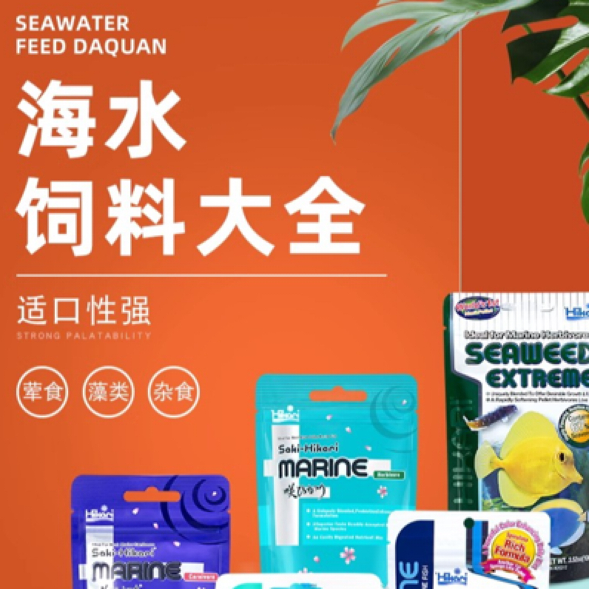 （菜菜）瑞丰海水珊瑚缸系列产品