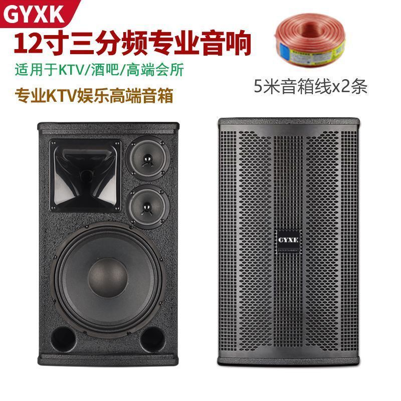 正品GYXK专业10寸12寸15寸音箱滑冰场酒吧KTV婚庆演出家用音响