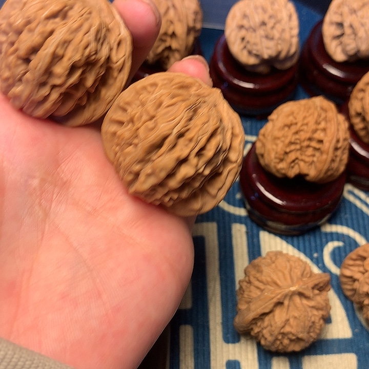 41尺全品无修四座楼