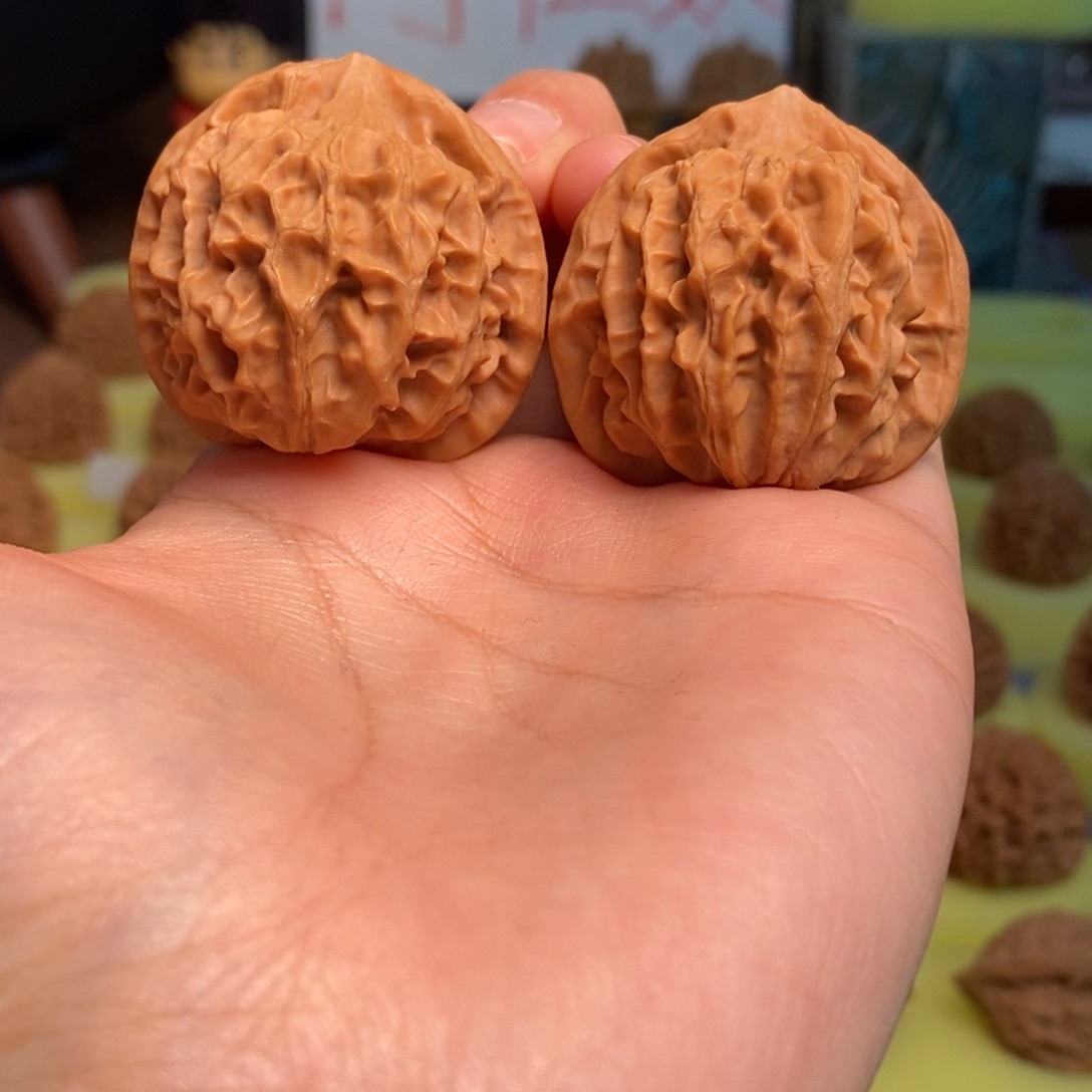 核桃秦岭闷尖狮子头37尺寸