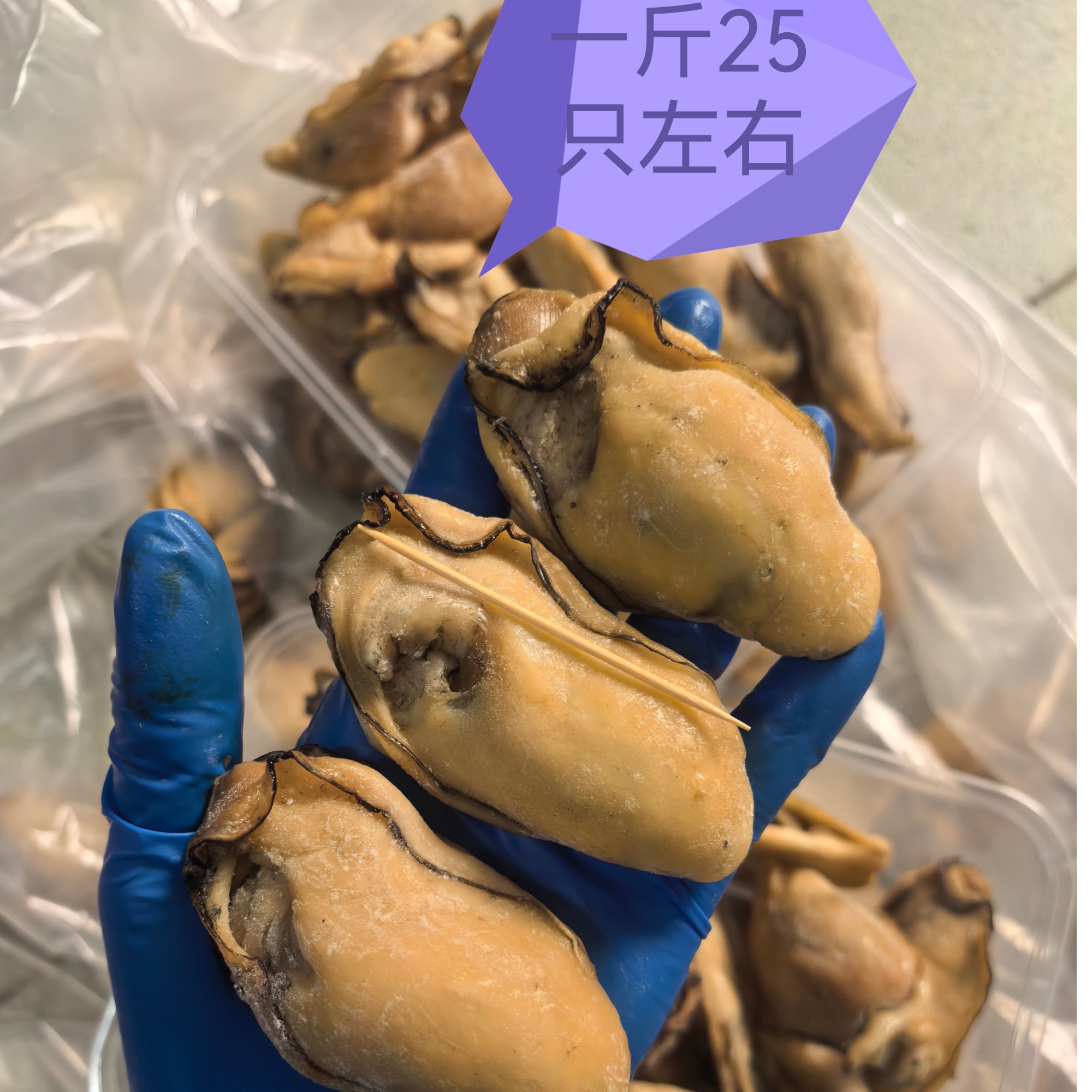 正宗台山生蚝自晒金蚝一斤25只左右，自晒鲜美冷链发货