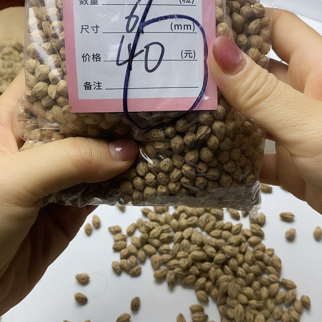 柏香籽/百香籽手串