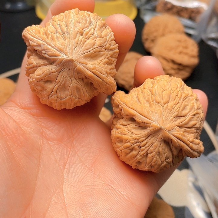 文玩核桃把件泥鳅背
